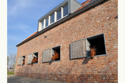 4-persoons woning op manege vlakbij strand op ponyhof Aagtekerke VMP096